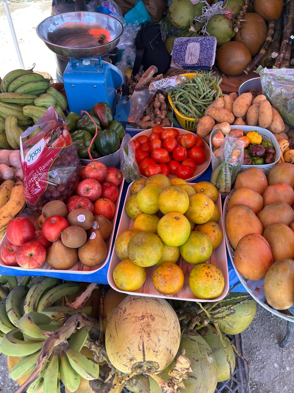 Ground provisions display